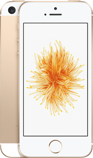 Professional iPhone SE (1st Gen) Repair